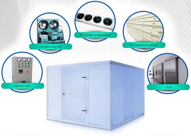 냉각기에 있는 돌풍 냉장고 찬 방 낚시질 장비, 저온 저장 도보 및 냉장고 0