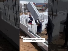 지라프 브래싱 동등 전문 ICF 벽 정렬 ICF 벽 지원 도구